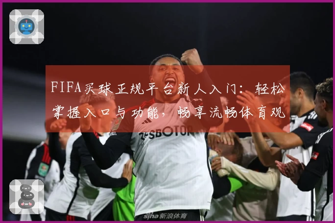 FIFA买球正规平台新人入门：轻松掌握入口与功能，畅享流畅体育观赛体验
