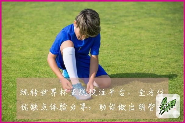 玩转世界杯正规投注平台，全方位优缺点体验分享，助你做出明智选择